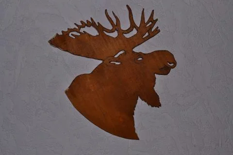 Deer on the wall 库存照片