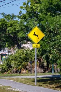 Deer warning sign Stock Photos