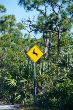 Deer warning sign Foto stock