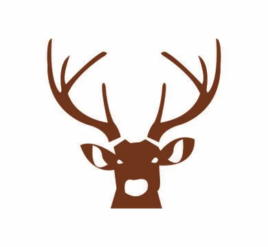 Deer on white 스톡 일러스트