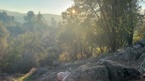 Deer in the wild in mountains Stock Footage 168858971