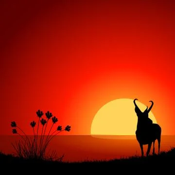 Deer wildlife Stock Illustration