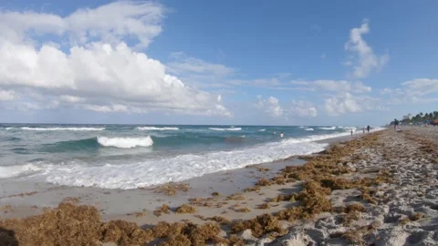 Deerfield Beach Facing South Stock Footage 200797942
