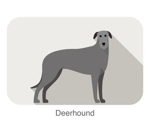 Deerhound standing an watching, flat icon design, vector illustration Stock Illustration