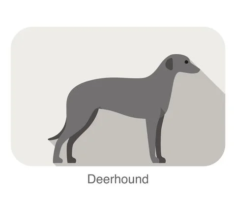 Deerhound standing an watching, flat icon design, vector illustration 스톡 일러스트