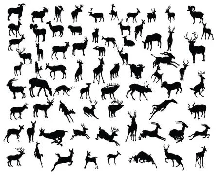 Deers collection silhouettes - vector Stock Illustration