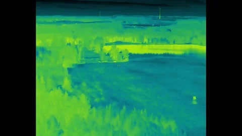 Deers thermo 2 Stock Footage 329298809