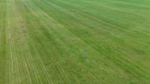 Deers visual Stock Footage 329300176