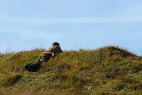 Deerstalker Stockfoto's