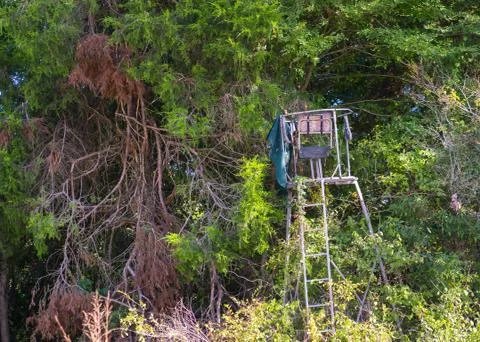 Deerstand Stock Photos
