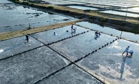 Default People working on the Hon Khoi Salt Fields in Doc Let near Nha Trang, Stock Photos
