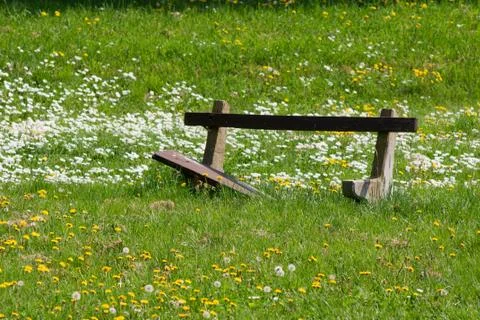 The defective park. Stock Photos
