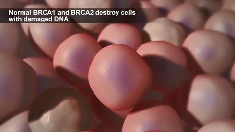 Defects due to DNA damage lead to tumor and cancer formation and death of hea Stock Illustration