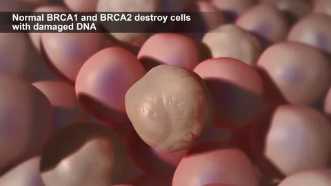 Defects due to DNA damage lead to tumor and cancer formation and death of hea Illustrazione stock