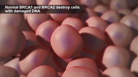 Defects due to DNA damage lead to tumor and cancer formation and death of hea Stock Illustration