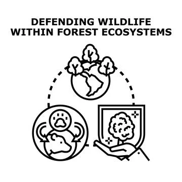 Defending wildlife within forest ecosystems concept vector Stock Illustration