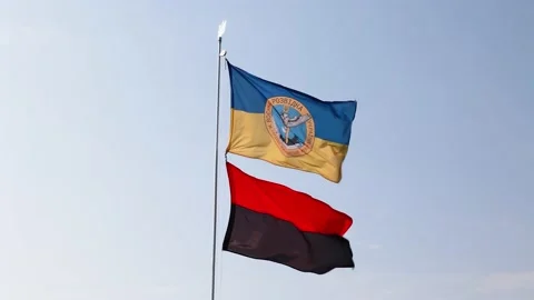 Defense Intelligence of Ukraine. Defence Intelligence of Ukraine. Ukrainian Flag Video stock 237955915