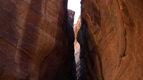 Defile of Petra Video stock 83594660