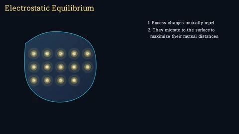 Defining the Electrostatic Equilibrium 動画素材 337061541