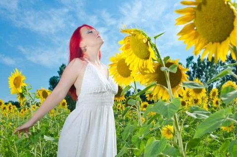 Definition of freedom Stock Photos