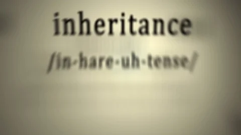 Definition: Inheritance Stock Footage 77009500