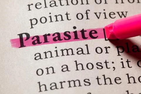 Definition of parasite 스톡 사진