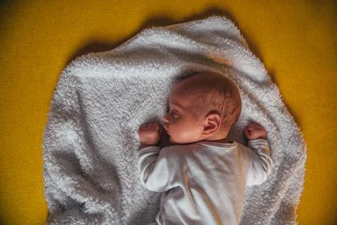 The definition of totally cute Stock Photos