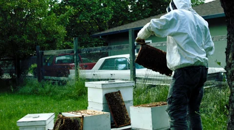 Deflates beekeeper honey Stock Footage 38377042