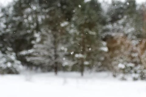 Defocus abstract blurred winter background. Winter background of Stock Photos