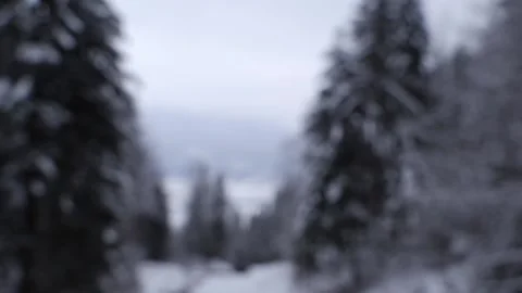 Defocus background of snowy forest with snowflakes falling into focus. Stock Footage 148618227