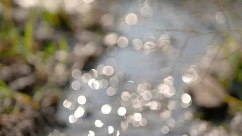 Defocus background of sparkling reflection on water surface in a paddy field Stock Footage 103552521