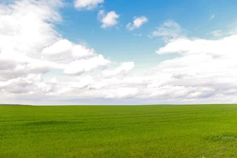 Defocus blue sky background with tiny white clouds and green meadow. Panora.. Stock Photos