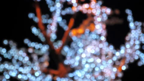 Defocus blur tree is decorated with festive Christmas garlands Stock Footage 140953631