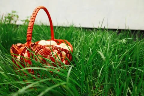 Defocus eggs in basket on grass background. Chicken eggs in wooden basket on  Stockfoto's