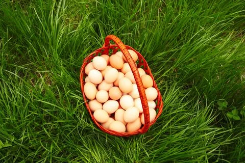 Defocus eggs in basket on grass background. Chicken eggs in wooden basket on  Foto stock