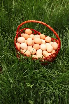 Defocus eggs in basket on grass background. Chicken eggs in wooden basket on  Stock Photos