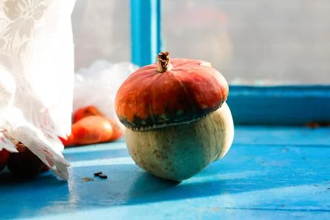Defocus fall pumpkin. Close-up view of ripe Turban squash, also known as Turk Stock Photos