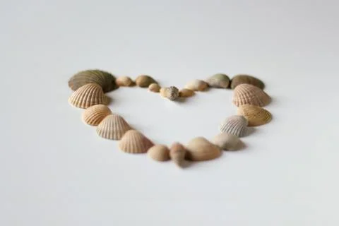 Defocus heart made of sea shells lying on a beach white summer background. Su Foto stock