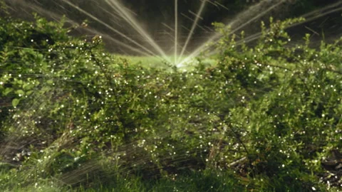 Defocus, Jets of Water from the Irrigation System Of irrigation Lawn in the Park Stock Footage 160260247