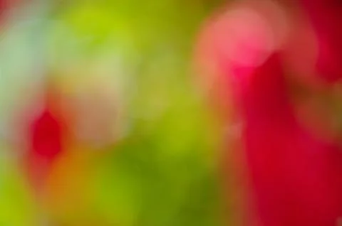 Defocus light. Abstract blurred red with green background. Defocused color bo Stock Photos