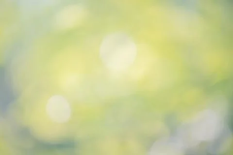 Defocus light background green with yellow. Natural abstract background Stock Photos