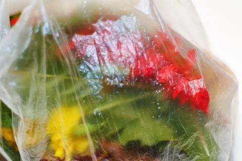 DEFOCUS. Plastic texture. Red and green plants flowers in a plastic bag on a Stock Photos