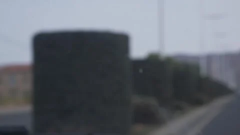 Defocus slow motion of shrubbery from a car Stock Footage 339959690