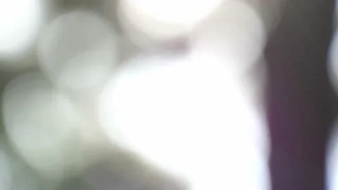 Defocus tilt scene on green leaf in forest pass bright light Stock Footage 236089984