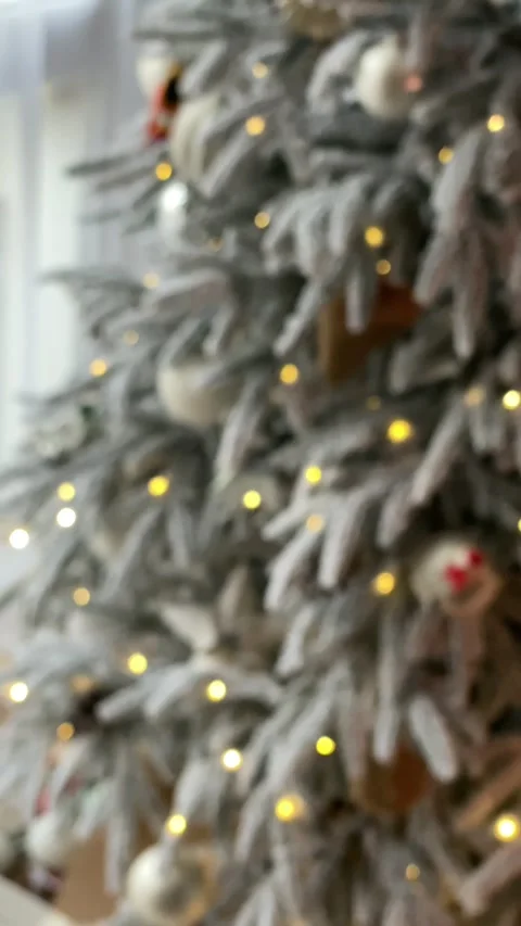 Defocus view of decorated christmas tree Stock Footage 254548941