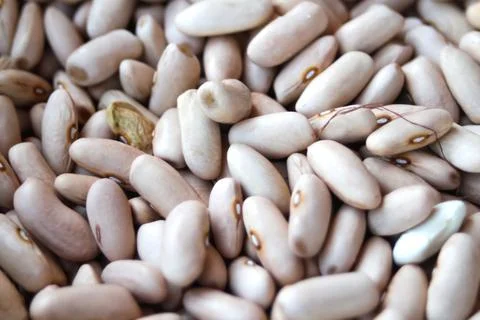 Defocus white beans background. Background of many grains of dried beans. Brown Stock Photos