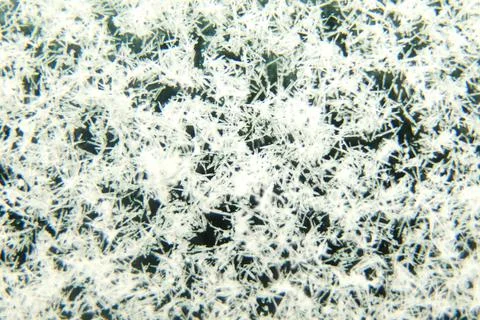 Defocus winter snow blue background. Abstract ice frost natural background wi Stock Photos