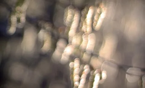 Defocused abstract background with bokeh lights in beige, brown and black c.. Stock Photos