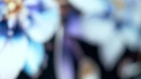 Defocused abstract background. Celestial blossoms of muted lavender and Видео 249929533