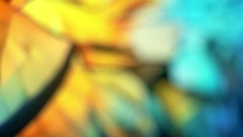 Defocused abstract background. Kaleidoscopic Symphony A vibrant symphony of Stock Footage 249929606